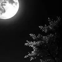 original sound - noori.writes42