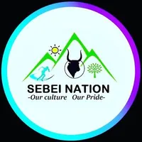 original sound - sebeination