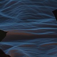 obsessedwithscarredvill