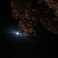 myself_and_my_thoughts