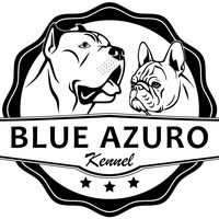 blueazurokennel