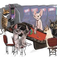 lisalisaandthefunkybunch