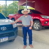 afedo_zaval4