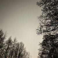 оригинальный звук