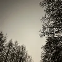 original sound - footage.zxc