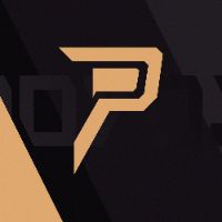 poyosrl