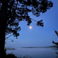 midnightvaish