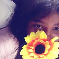 anali.bz
