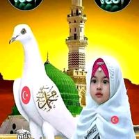 yasir_173.7