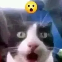 original sound - bburntbbeetlgutz