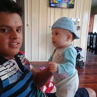 disnei24.280chipado310