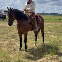 original sound - sebastianalvarez.0