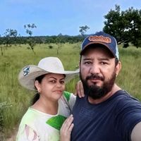 bloguerindapecuaria