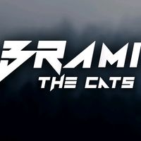 brami.the.cats