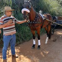 rogrio.almeida80