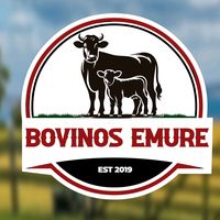 bovinos_emure