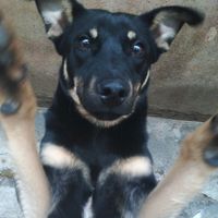 geovanaoliveira371
