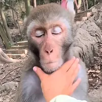 original sound - onehyperr