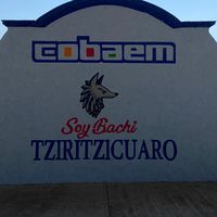 bachi601tziritzicuaro
