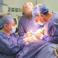 الصوت الأصلي