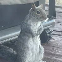 original sound - momlookwhatifoundd