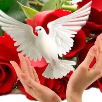 original sound - damarisrebollar