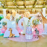 affordablepartydecortx