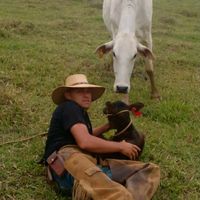 gringo_788