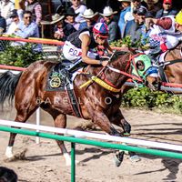 jockeyrodrigorbpoficial