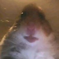 faze_tom4.4