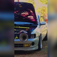 ratty_don007