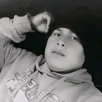 noamhy.shol
