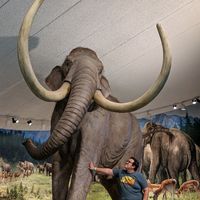 josias_the_animal_man