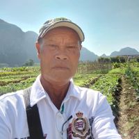 เสียงต้นฉบับ - Thawan