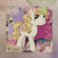 mlpstudio224