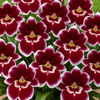 original sound - userrrrr_userrrr111