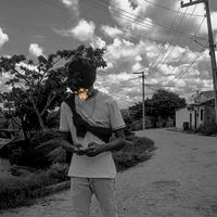allex.39
