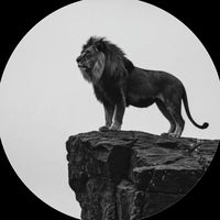 idriss_kalli218