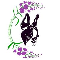last_frontier_family_pet