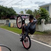 giowheeliepr