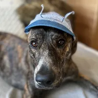 original sound - msmriyapes