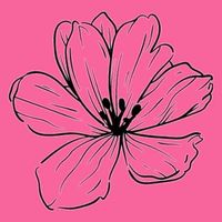 virtuosamodaevangelica1