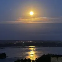 original sound - dp8888dp