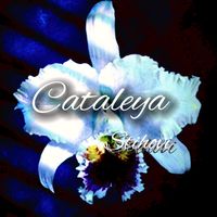 cataleyaaaaa6