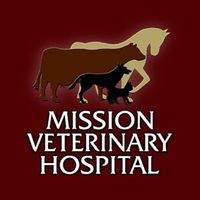 missionvethospital