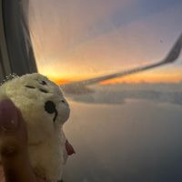 original sound - honeybliss