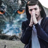 original sound - The fool