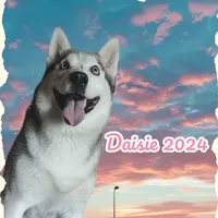 original sound - proud.husky.momma