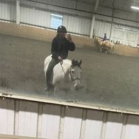 the.ultimate.horse.owner