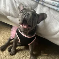 original sound - gsjdvhskqcq